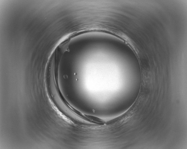 X0000061151142200511181227