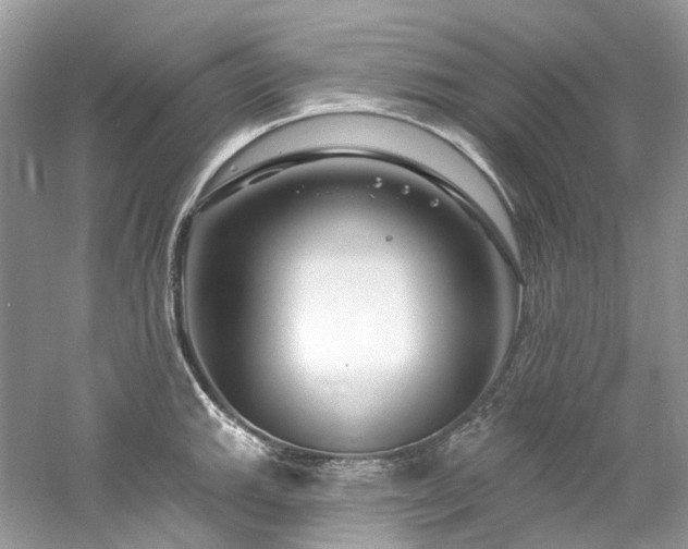 X0000061151143200511181227