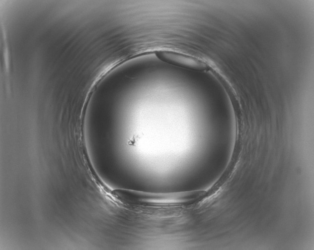 X0000061151145200511181227