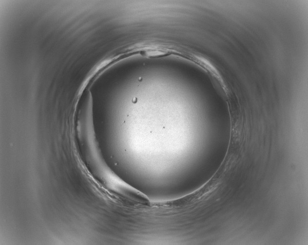 X0000061151146200511181227