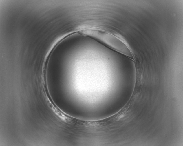 X0000061151148200511181227