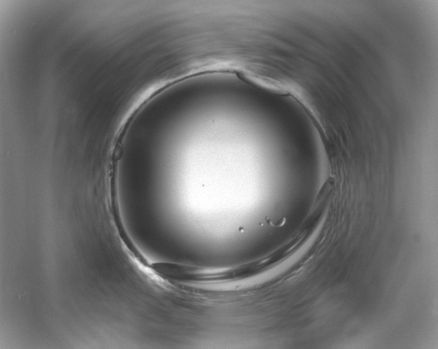 X0000061151151200511181227