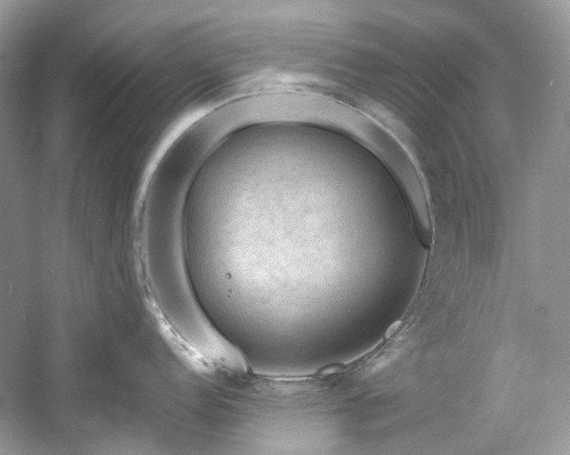 X0000061151152200511181227