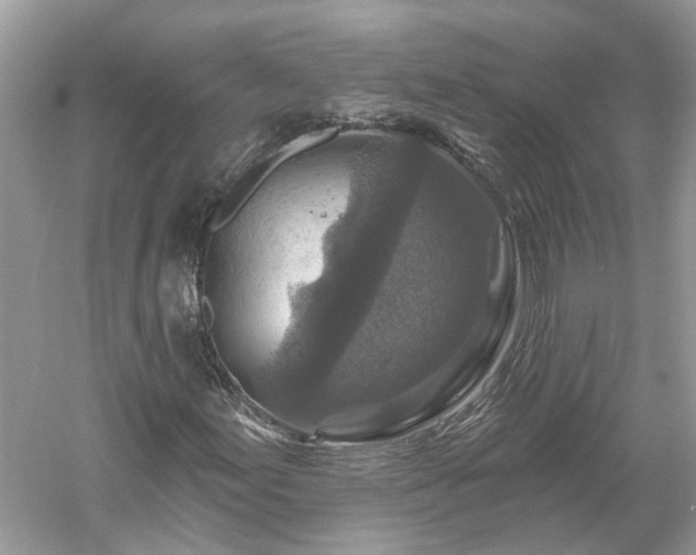 X0000061151155200511181227