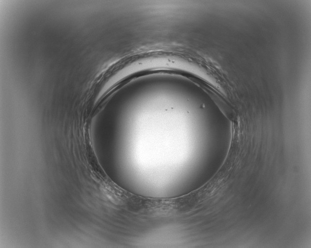 X0000061151158200511181226