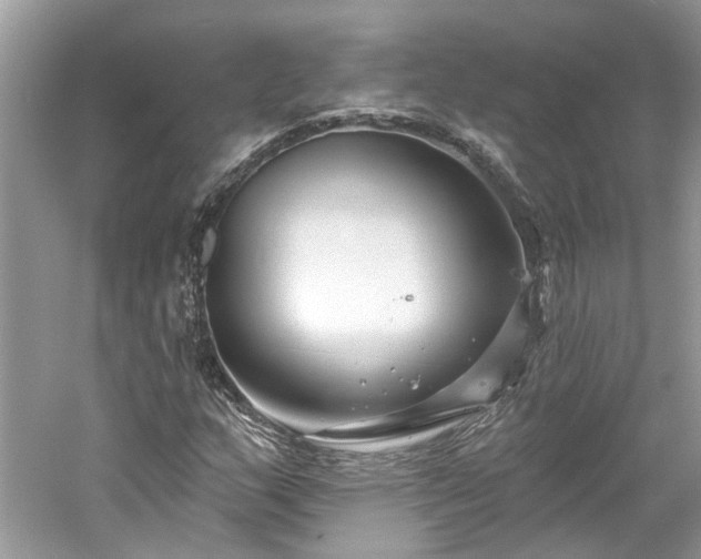 X0000061151159200511181226