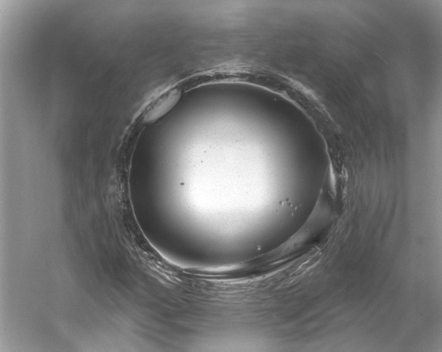 X0000061151160200511181226