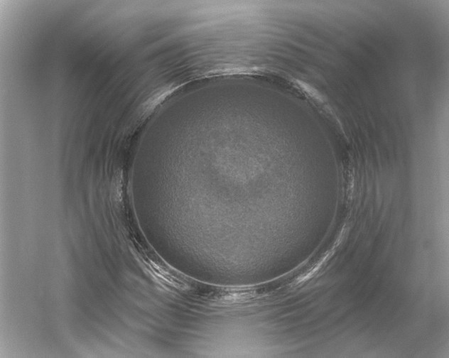 X0000061151161200511181226