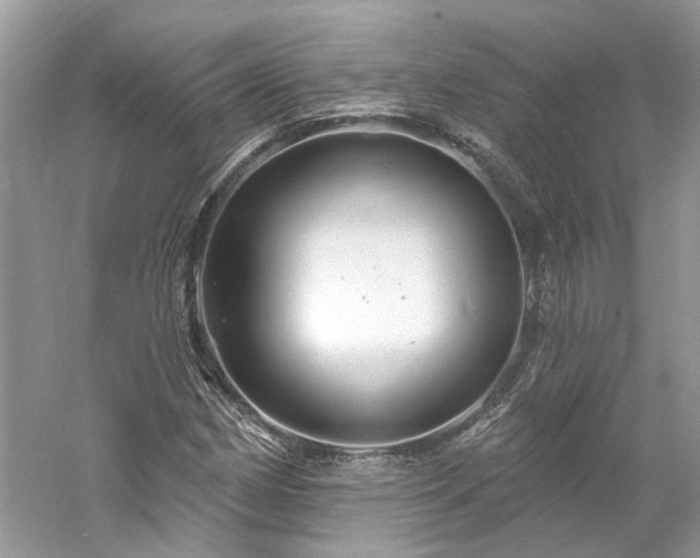 X0000061151162200511181226