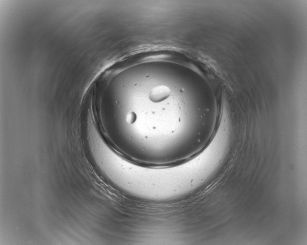 X0000061151165200511181226