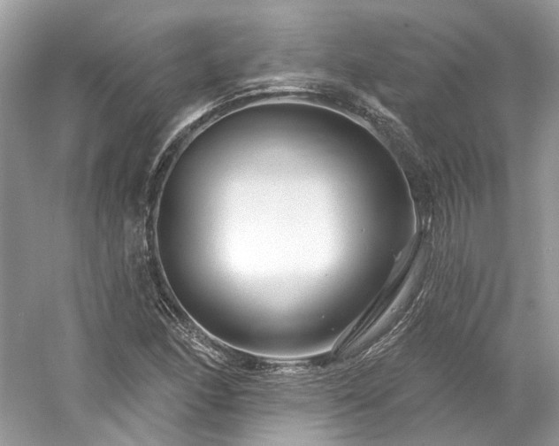 X0000061151166200511181226