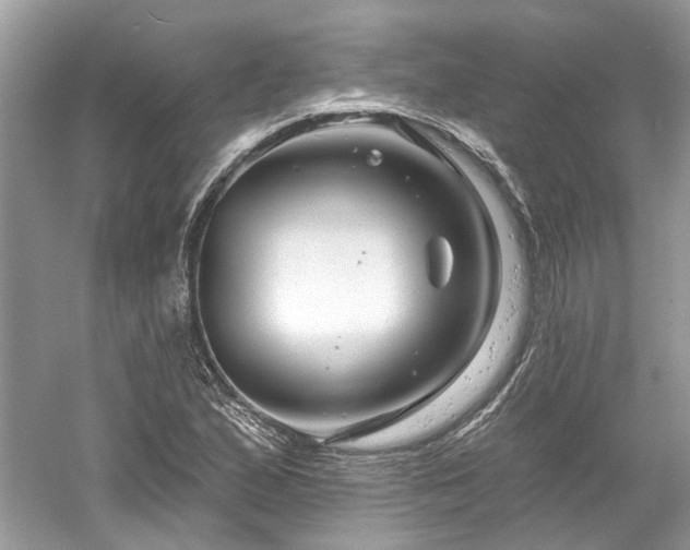 X0000061151167200511181226