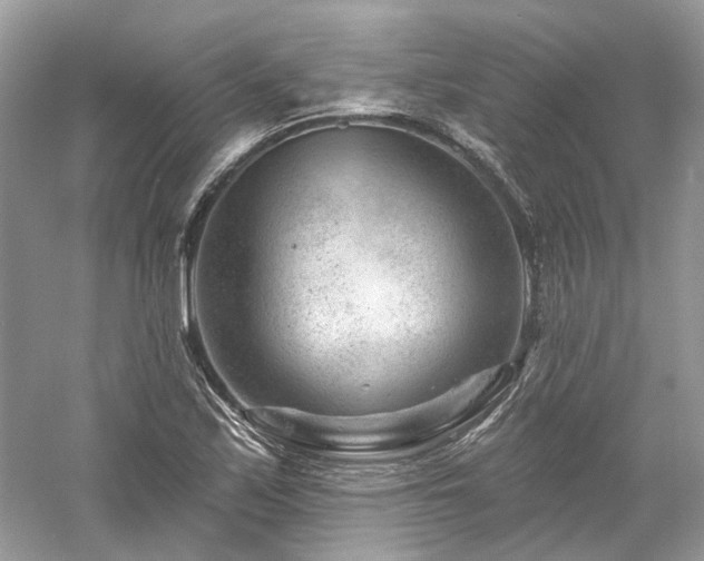 X0000061151171200511181226