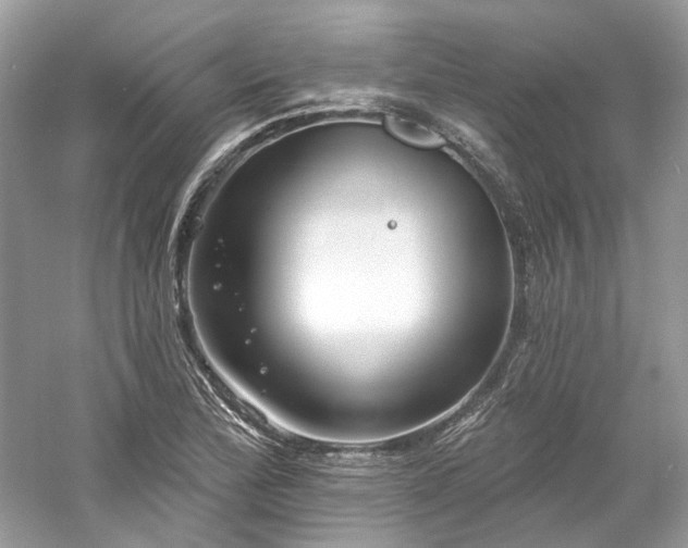 X0000061151172200511181226