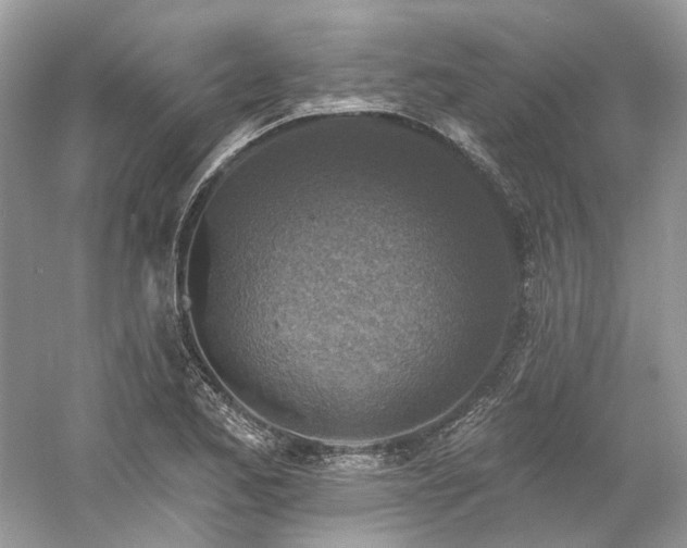 X0000061151173200511181226