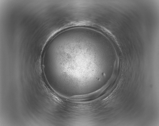 X0000061151174200511181226