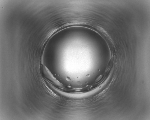 X0000061151177200511181226