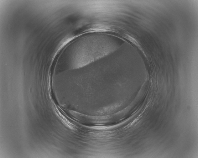 X0000061151179200511181226