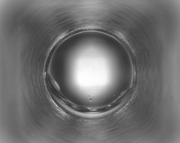 X0000061151181200511181226