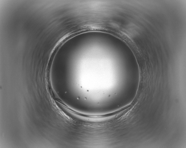 X0000061151182200511181226