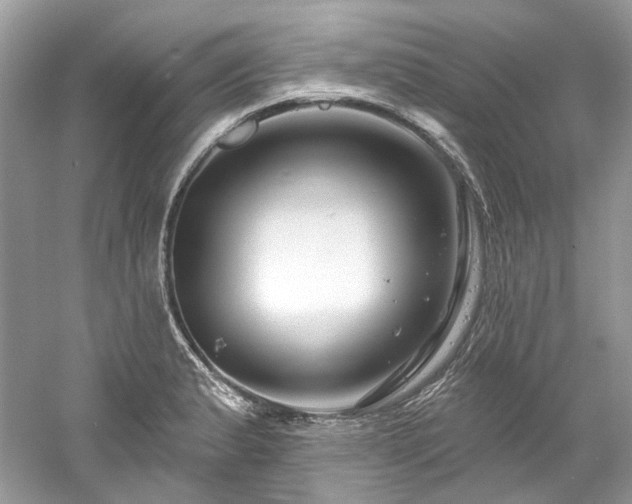 X0000061151183200511181226