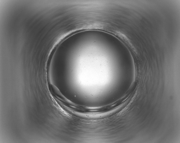 X0000061151184200511181226