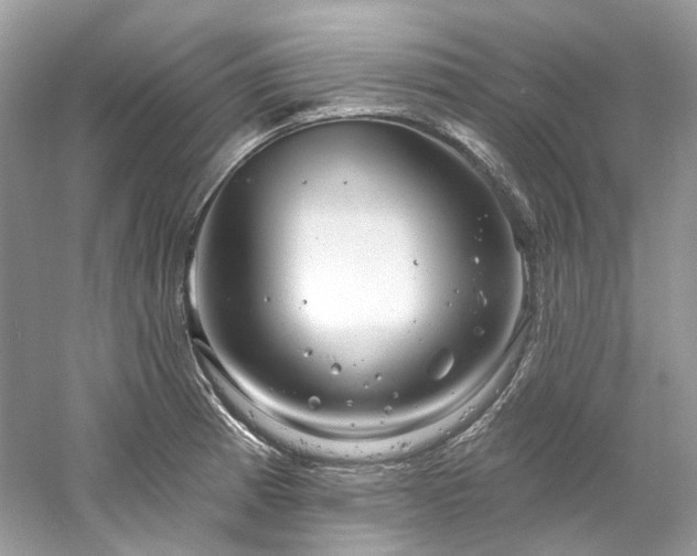 X0000061151185200511181226