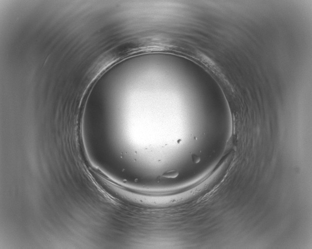 X0000061151186200511181226