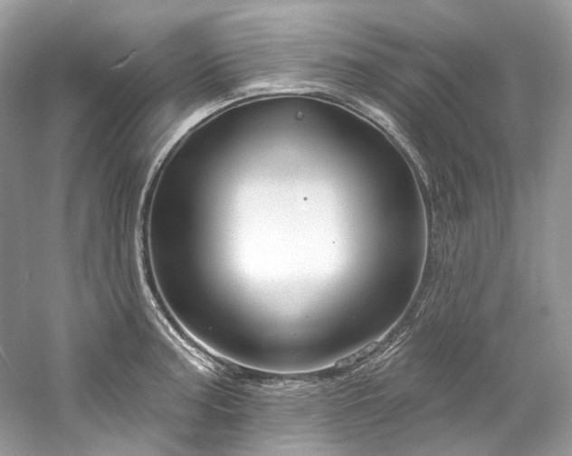 X0000061151187200511181226