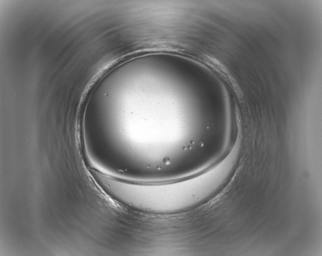 X0000061151188200511181226