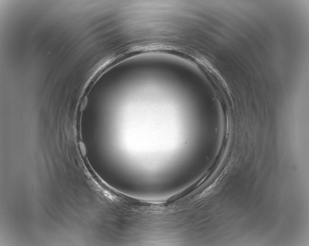 X0000061151189200511181226