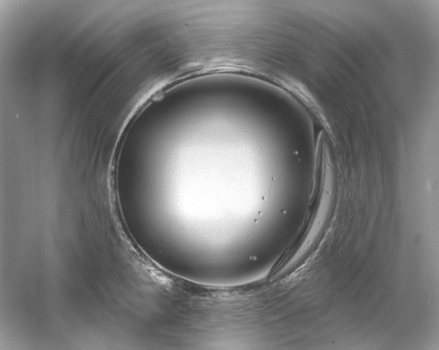 X0000061151190200511181226