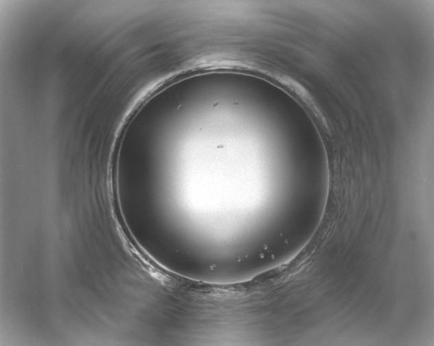 X0000061151191200511181226