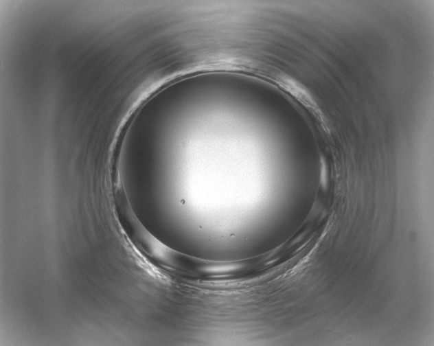 X0000061151192200511181226