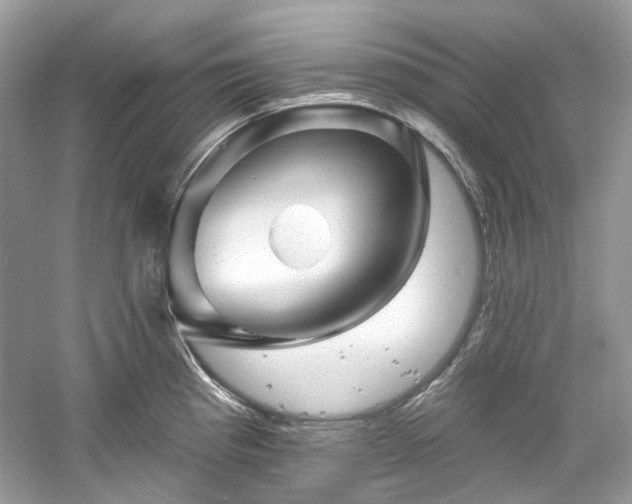 X0000061151193200511181226