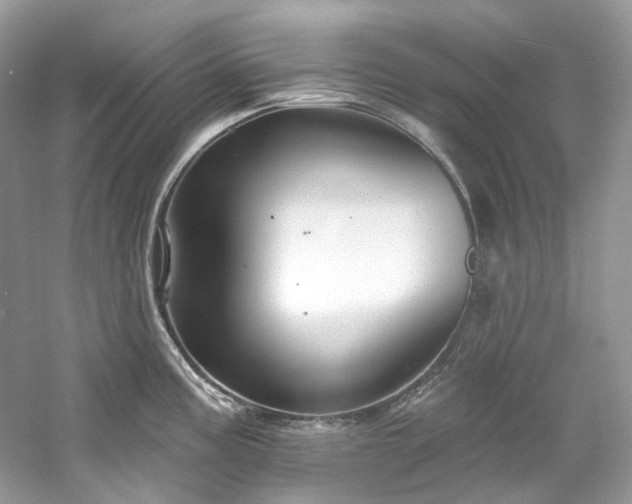 X0000061151195200511181226