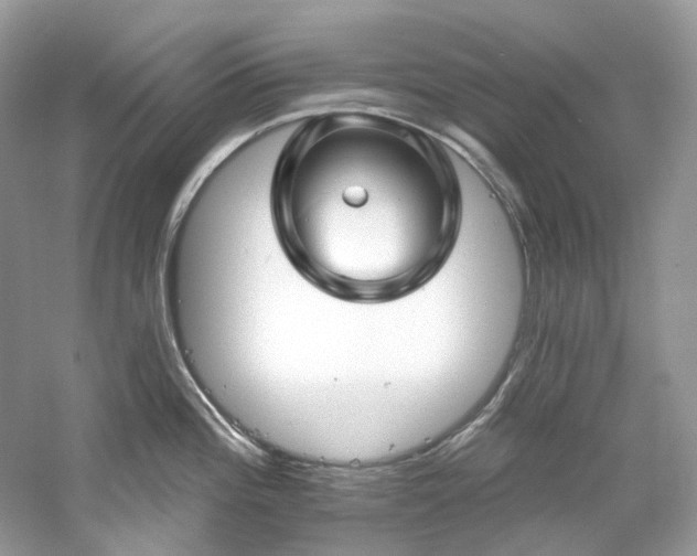 X0000061151196200511181226