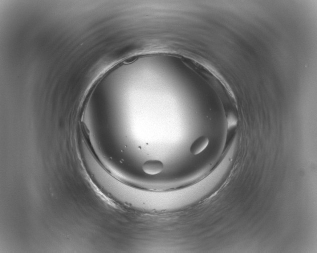 X0000061151197200511181226