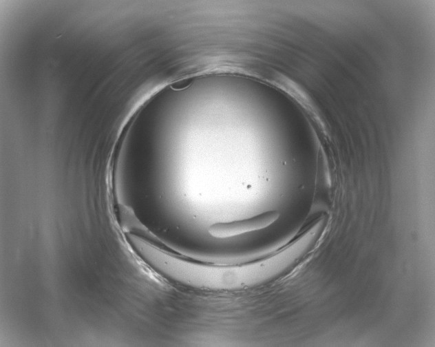 X0000061151198200511181226