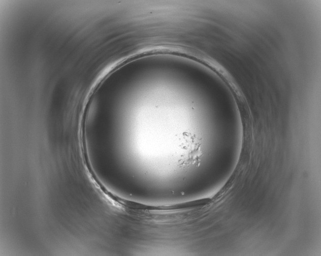 X0000061151199200511181226