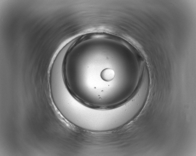 X0000061151200200511181226