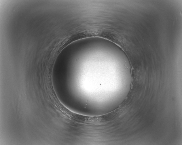 X0000061151201200511181225