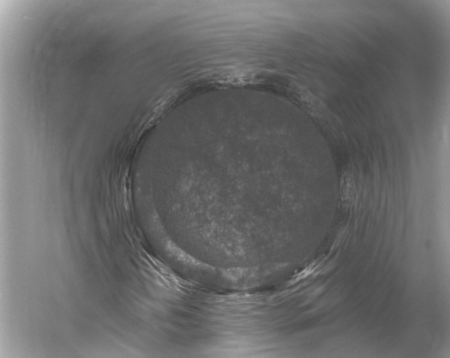 X0000061151202200511181225