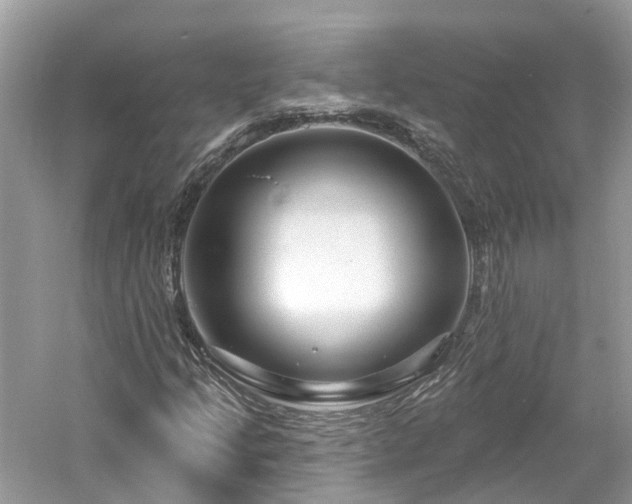 X0000061151205200511181225