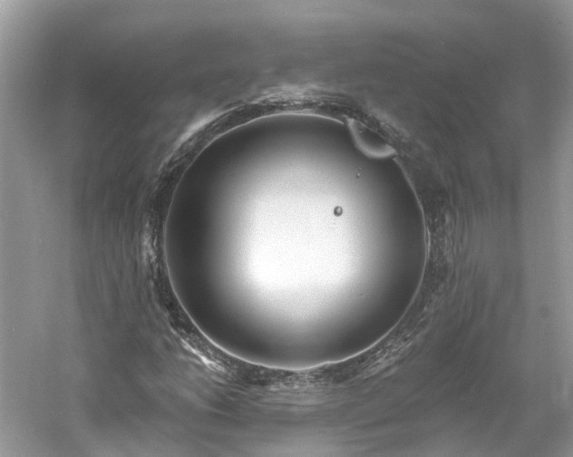 X0000061151206200511181225