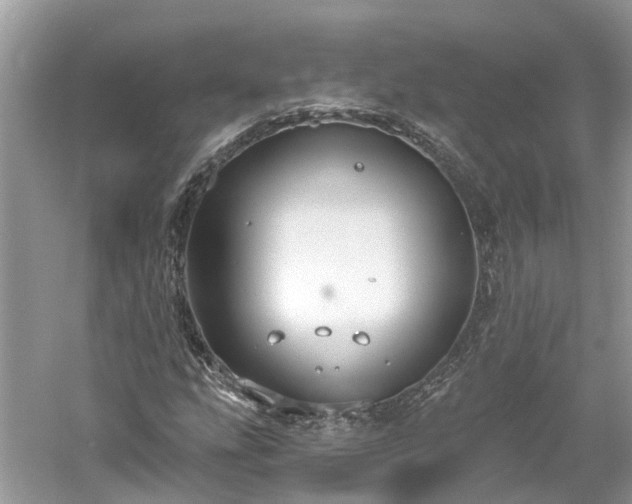 X0000061151207200511181225