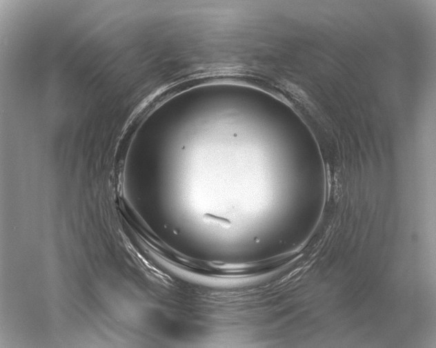 X0000061151212200511181225