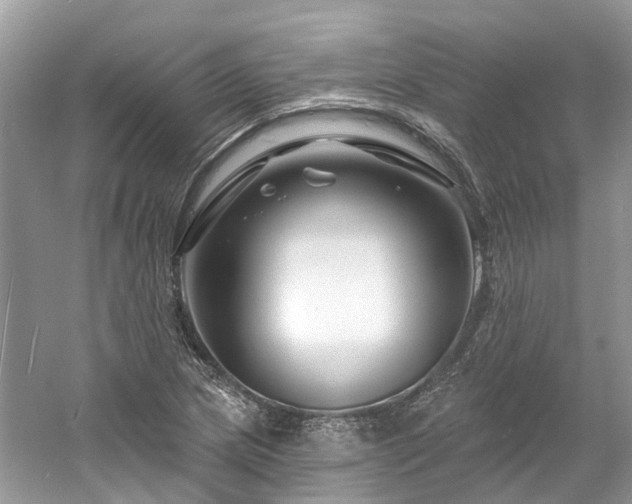 X0000061151217200511181225