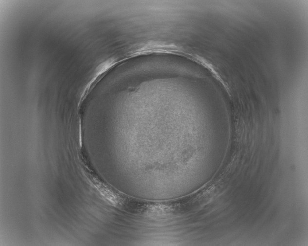 X0000061151219200511181225