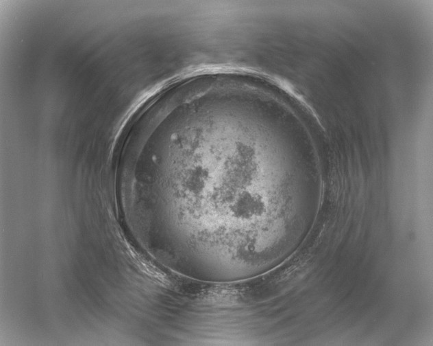 X0000061151221200511181225